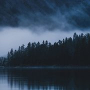 Lauge & Warmth - Shadows in Blue (2025)