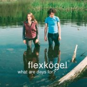 flexkögel - What Are Days For? (2004)