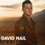 David Nail - I'm a Fire (2014)