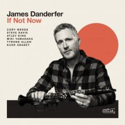 James Danderfer - If Not Now (2025) [Hi-Res]