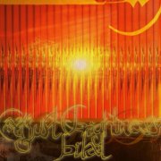 Bilal - Adjust Brightness (2024) [Hi-Res]