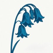 The Bluebells - This Is…The Bluebells (2026) [Hi-Res]