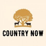 VA - Country Now (2024)