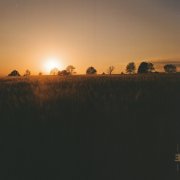Stuart McCallum - A Quiet Gathering (2026) [Hi-Res]