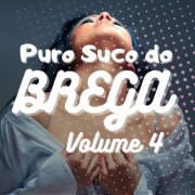 VA - Puro Suco do Brega Vol.4 (2024)