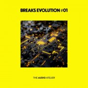 VA - Breaks Evolution #01 (2026)