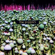 Gordon Anderson - The Poppies (2020) [Hi-Res]