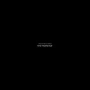 R.Hz - Hybrid Dub (2026)
