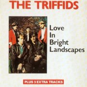 The Triffids - Love in bright landscapes (1986)