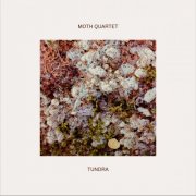 Moth Quartet - Tundra (2025) Hi-Res