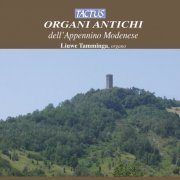 Liuwe Tamminga - Organi Antichi dell'Appennino Modenese (2012)