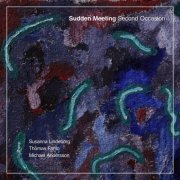 Sudden Meeting - Second Occasion (2020)