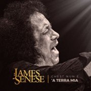 James Senese - Chest Nun è ‘a Terra Mia (2025)