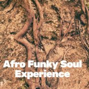 VA - Afro Funky Soul Experience (2026)