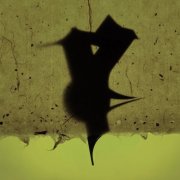 Jungstötter - Sustained (2026)