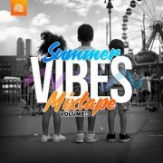 VA - Summer Vibes Mixtape Vol 3 (2024)