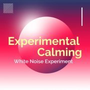 White Noise Experiment - Experimental Calming (2019) [Hi-Res]