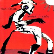 Black Stalin - Message To Sundar (2025)