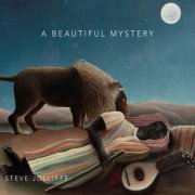 Steve Jolliffe - A Beautiful Mystery (2025) [Hi-Res]