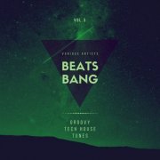 VA - Beats Bang (Groovy Tech House Tunes) Vol. 3 (2020) flac