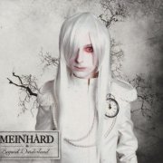 Meinhard - Beyond Wonderland (2013)