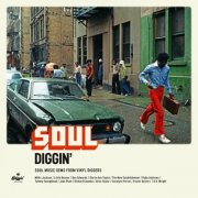 VA - Soul Diggin': Soul Music Gems From Vinyl Diggers (2022)
