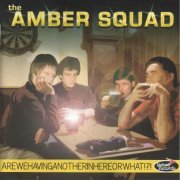 The Amber Squad - Arewehavinganotherinhereorwhat!?! (2005)