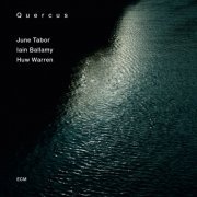 June Tabor, Iain Ballamy & Huw Warren - Quercus (2013) [Hi-Res]