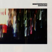 Misinterprotato - Variations (2007)
