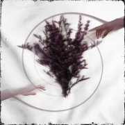 Take The Name - Limerence (2026) Hi-Res