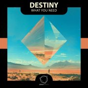 Destiny - What You Need (2025)