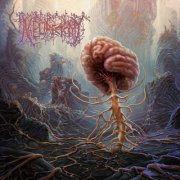 Neurectomy - Overwrought (2023) Hi-Res