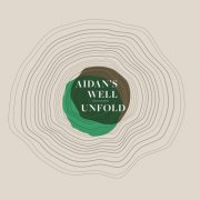 Aidan's Well - Unfold (2017)