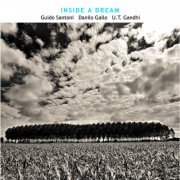 Guido Santoni, Danilo Gallo, U.T. Gandhi - Inside A Dream (2010)