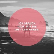 VA - ICH BRAUCH DICH, WIE DIE LUFT ZUM ATMEN. (2024)