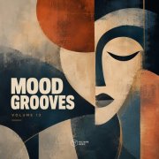 VA - Mood Grooves Vol. 13 (2026)