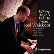 Joel Weiskopf - Where Angels Fear To Tread (2016) flac