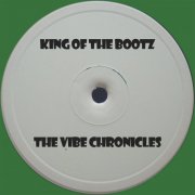 Unknown Artist - The Vibe Chronicles (2025)