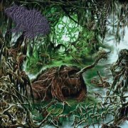 Frog Mallet - Consumed By Frogs (2026) Hi-Res