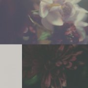 Genfukei - Flawless Cracks (2025)