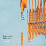 National Symphony Orchestra Ireland, Ryan McAdams - Donnacha Dennehy: Limina (2026) [Hi-Res]