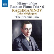 Brahms Trio - History of the Russian Piano Trio, Vol. 6 (2025) [Hi-Res]