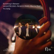 Trio Zadig - Something in Between (2019) [Hi-Res]