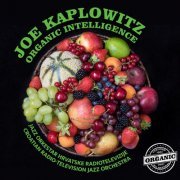 Joe Kaplowitz - ORGANIC INTELLIGENCE (2019)