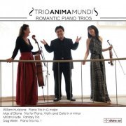 Trio Anima Mundi - Hurlstone, Hyde, d’Ollone & Wirén: Romantic Piano Trios (2013) [Hi-Res]