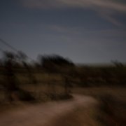 Vieux Koko - Les taillis (2026) [Hi-Res]