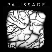 Palissade - Palissade (2020) Vinyl