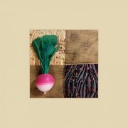 (r)adar - Radish Square (2026)