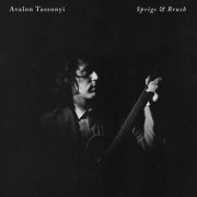 Avalon Tassonyi - Sprigs & Brush (2024)