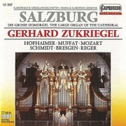 Gerhard Zukriege - Famous European Organs: The Large Organ of the Cathedral (2010)